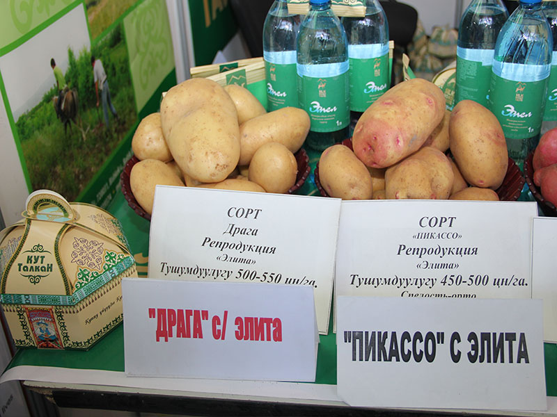 Агро2014